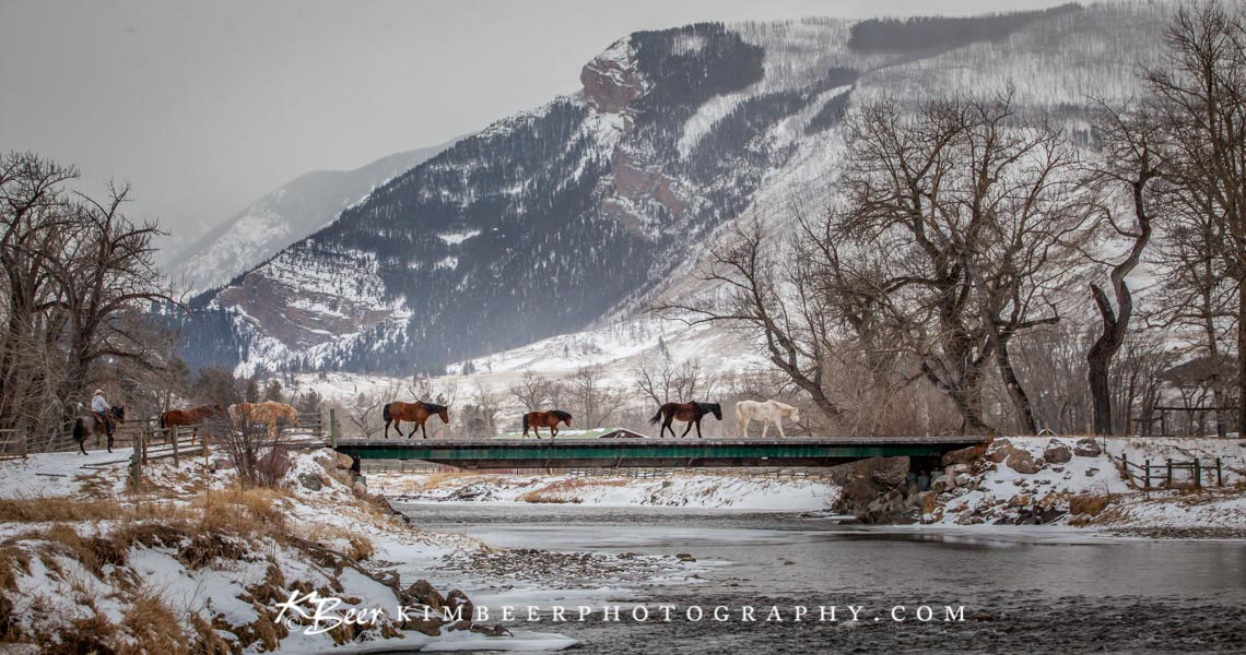 Equine Photographers Network Equine Photographers Network