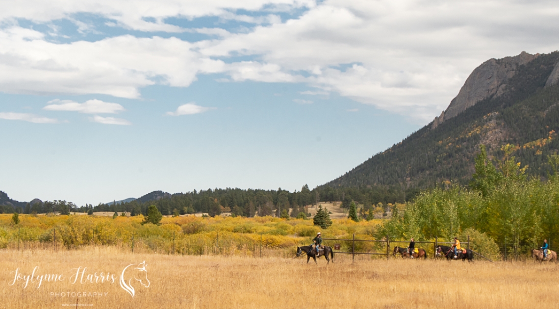 Equine Photographers Network Equine Photographers Network