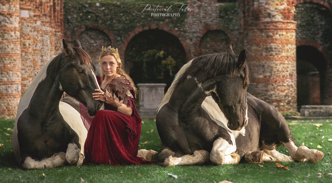 Equine Photographers Network Equine Photographers Network