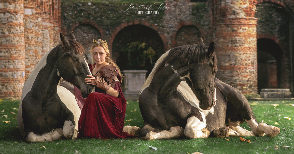 Equine Photographers Network Equine Photographers Network