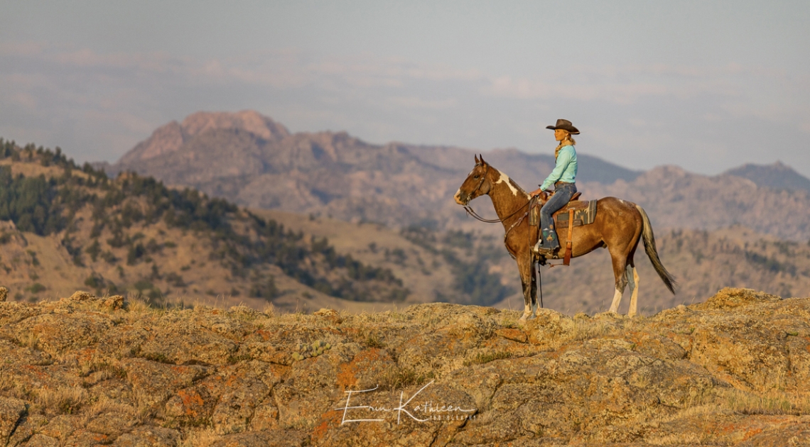 Equine Photographers Network Equine Photographers Network