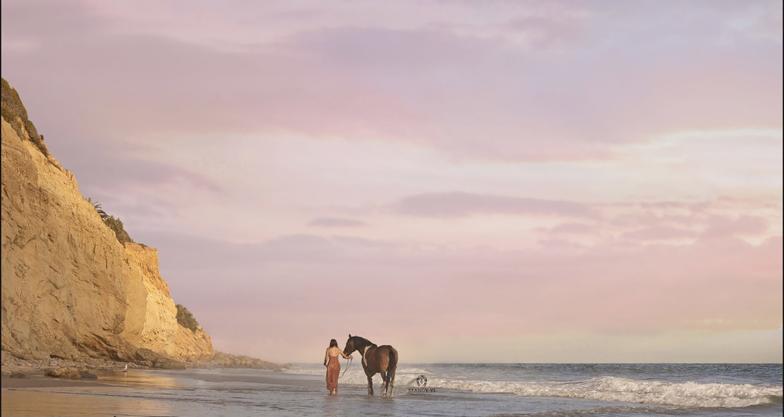 Equine Photographers Network Equine Photographers Network