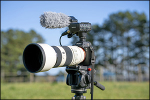 The Basics of Equine Videography