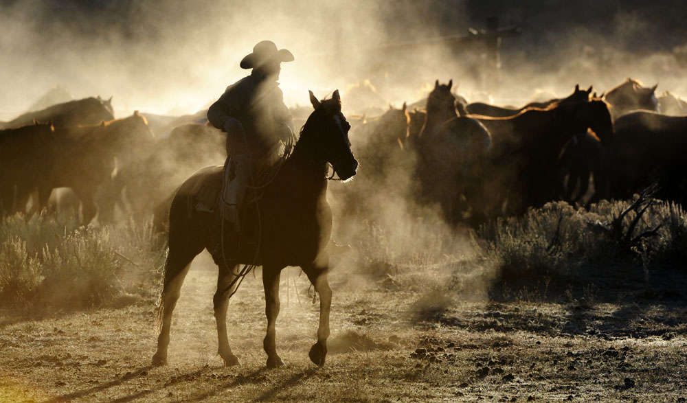 Sombrero Ranch Workshop & Horse Drive, 2023