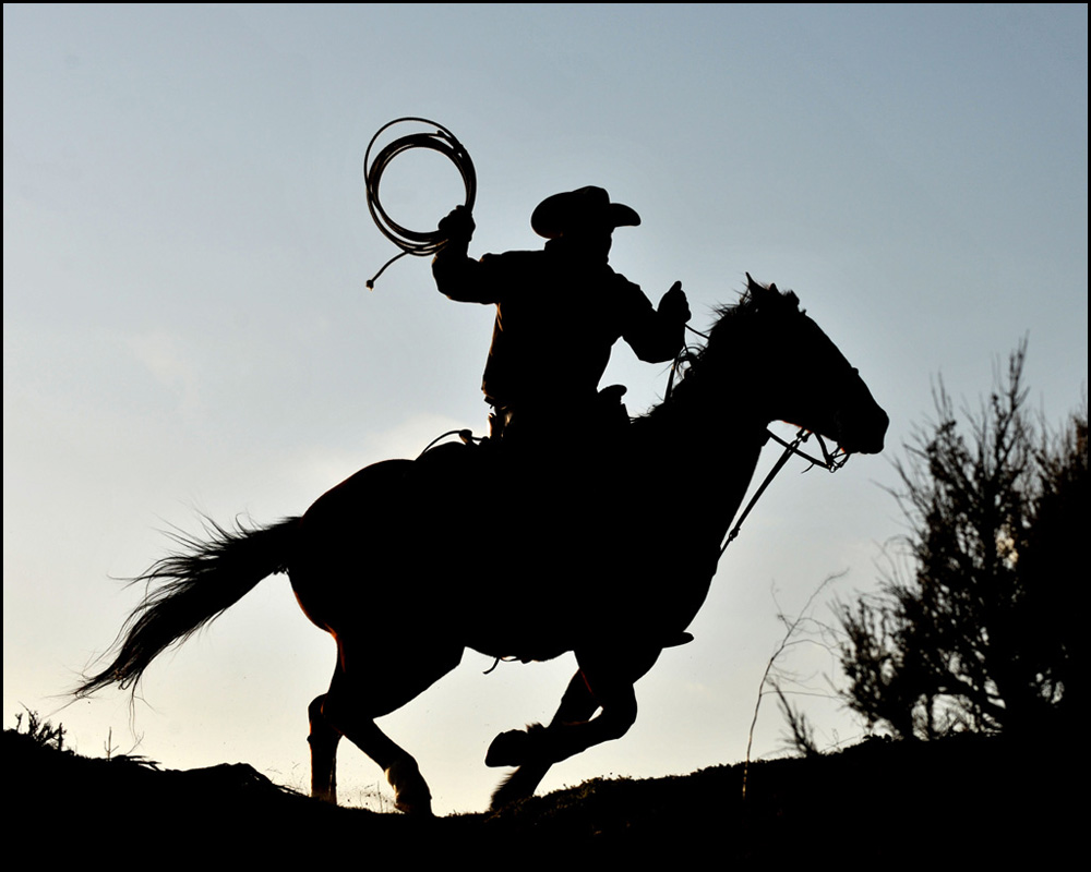 Colorado Cowboys & Great American Horse Drive
