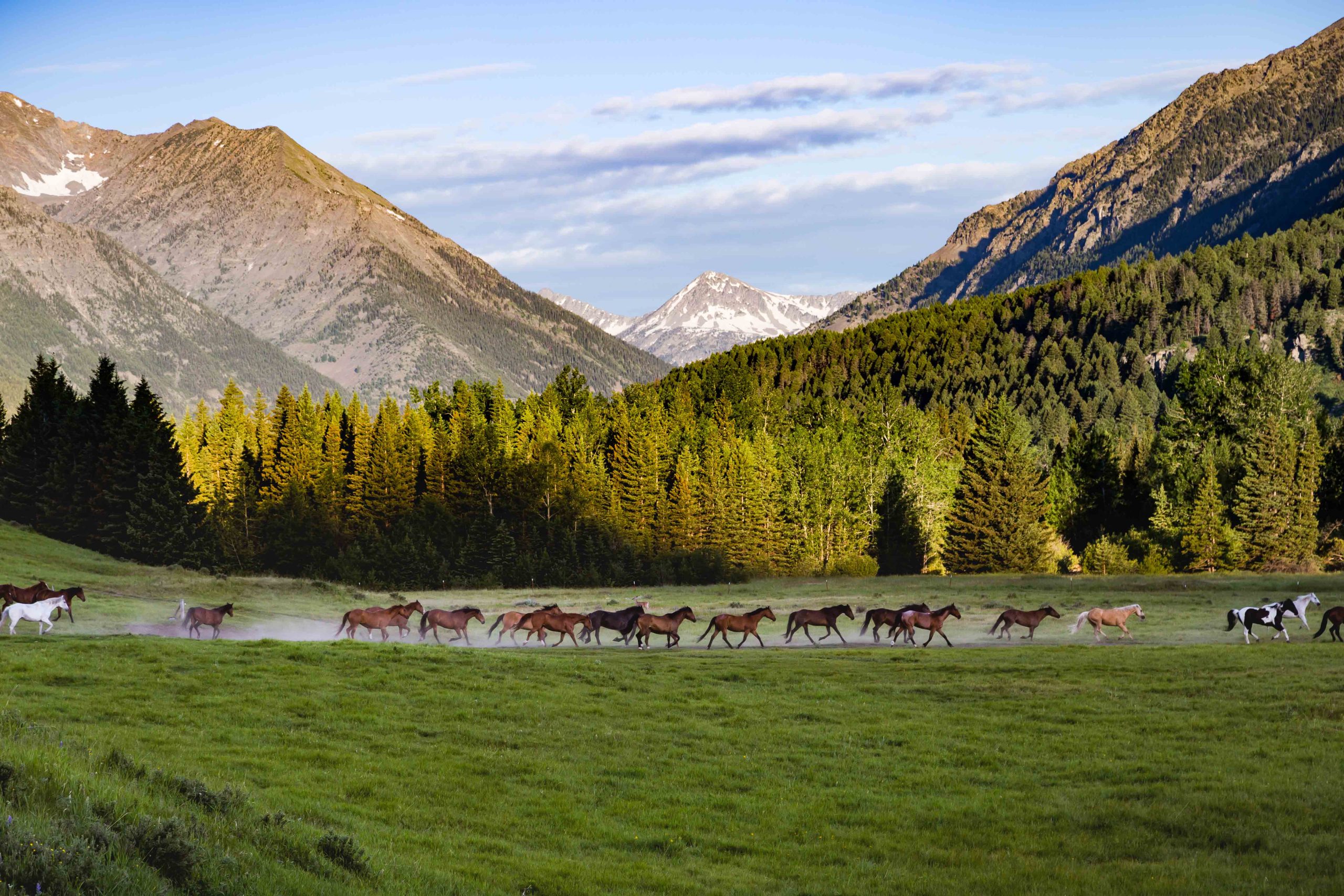  Horse, Landscape and Wildlife Photography Workshop
