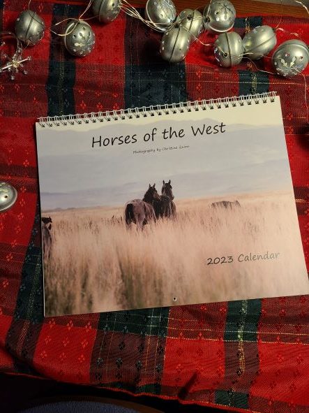 Horses of the West 2023 Calendar