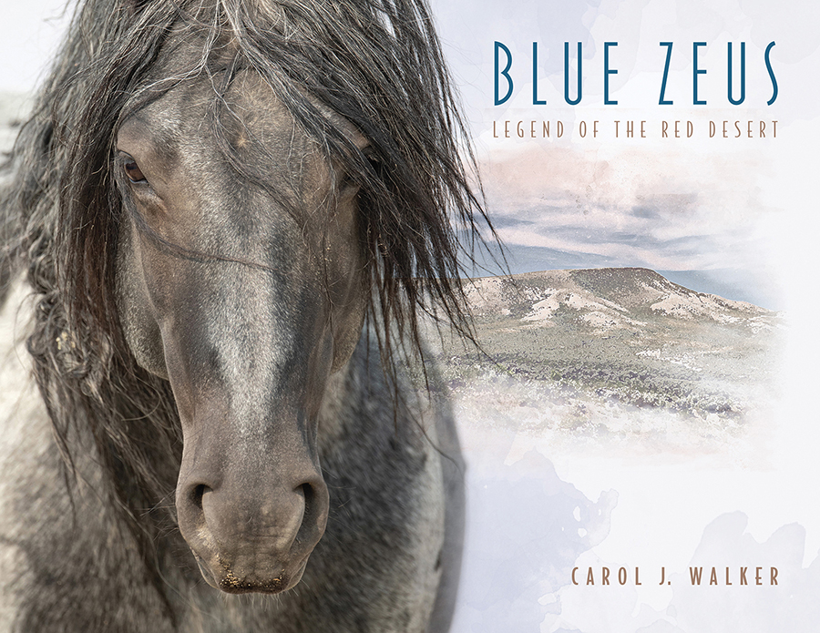 Blue Zeus: Legend of the Red Desert