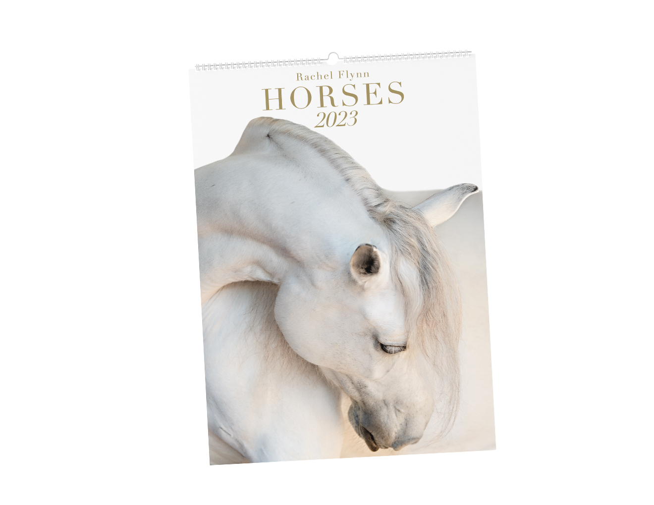 2023 HORSES CALENDAR, WALL ART & JIGSAW PUZZLES