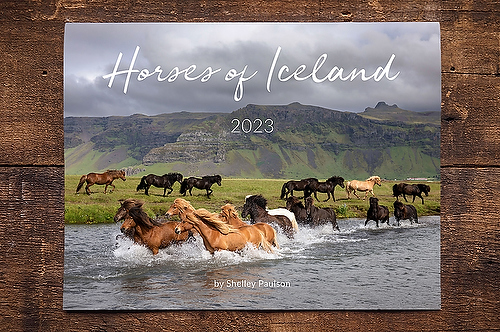  2023 Horses of Iceland Calendar