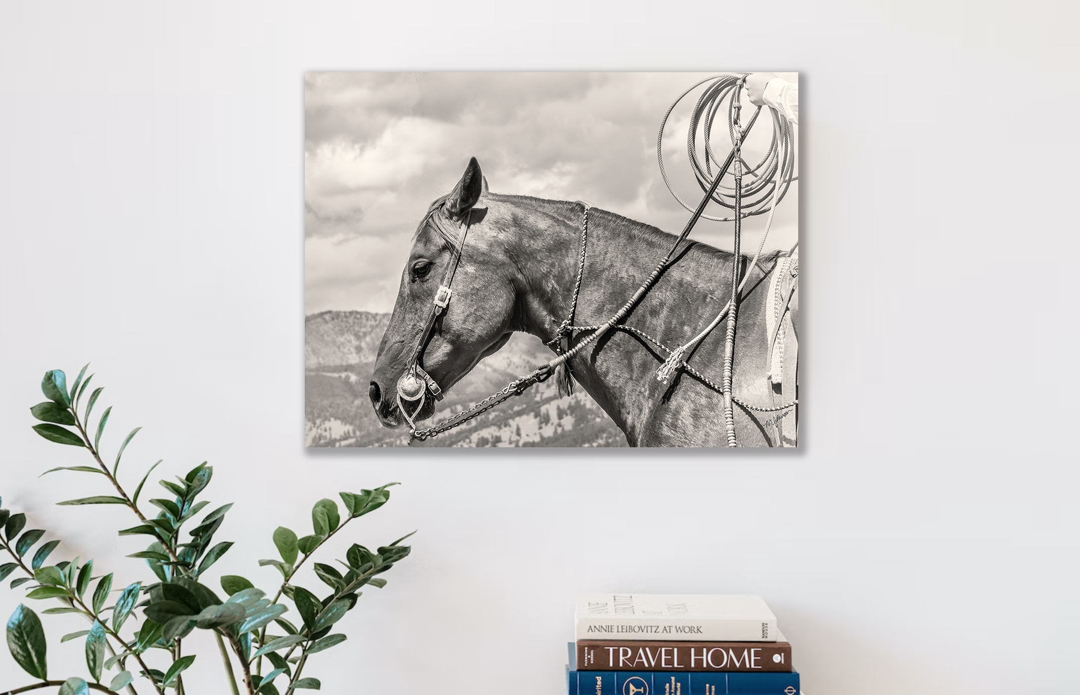  Fine Art Prints & Wall Art