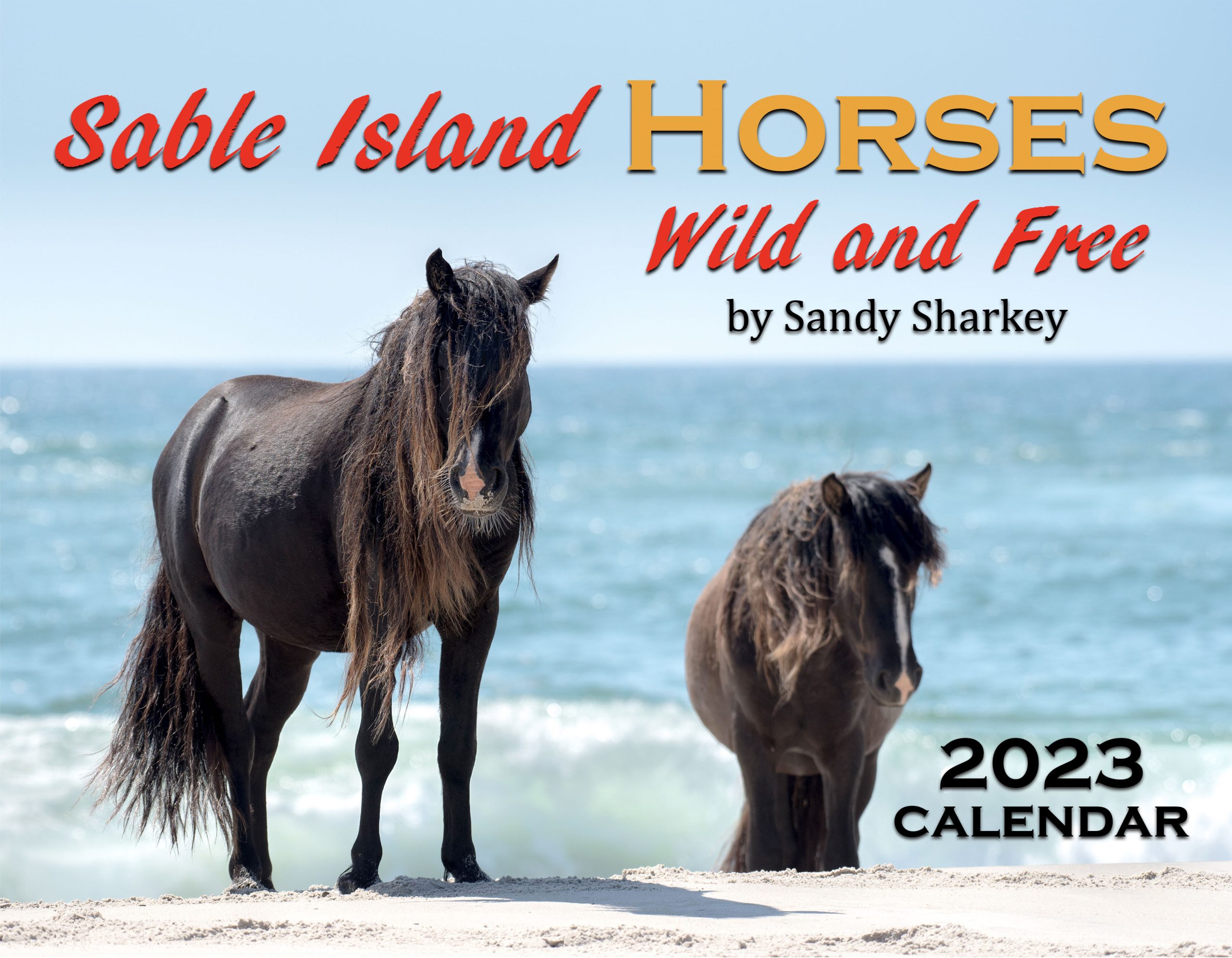Wild Horse Art, Cards & Calendars