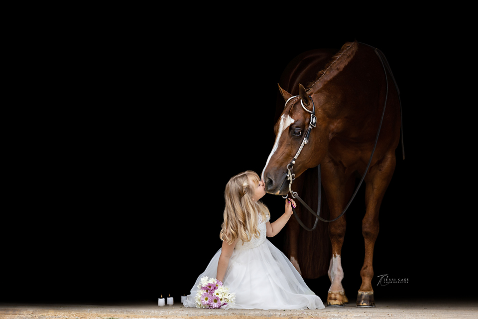 Save 25% on Horses & Humans Photography Class