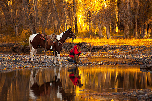 New Round-up of Photo Workshops Posted