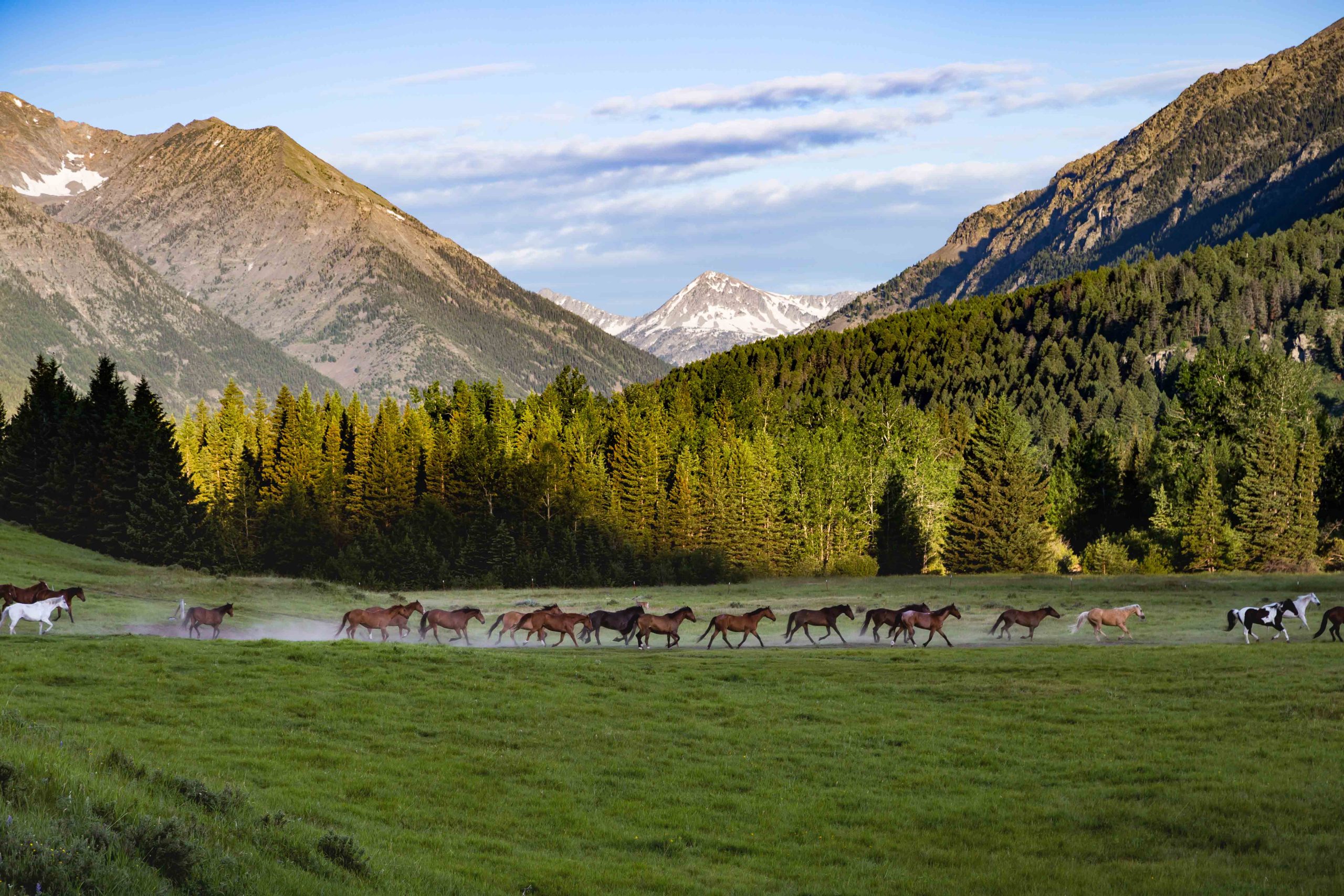 Montana Crazy Mountains Photography Workshop 