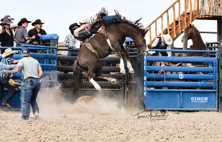 Art of Rodeo Photography Workshop