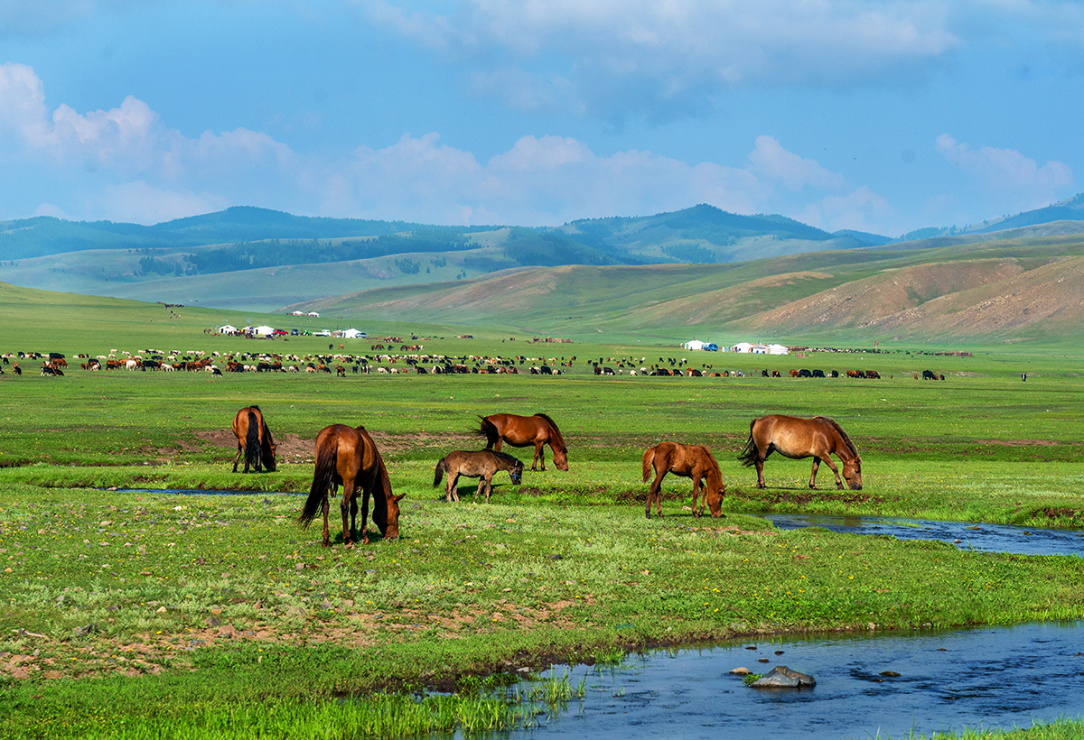 Mongolia Photo Tour