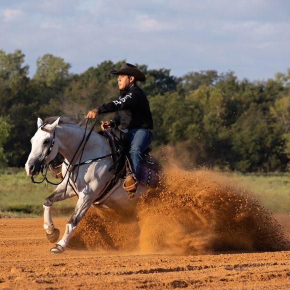 Photographing the Western Stock Horse – Showing and Working