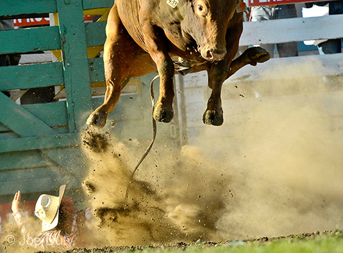 Rodeo Western Lifestyle Photography Workshop