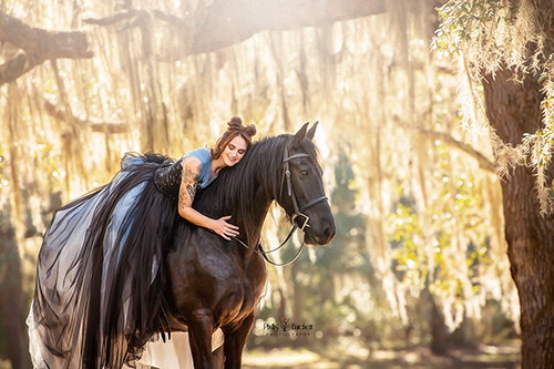 LEARN EQUINE PHOTOGRAPHY BEGINNERS WORKSHOP