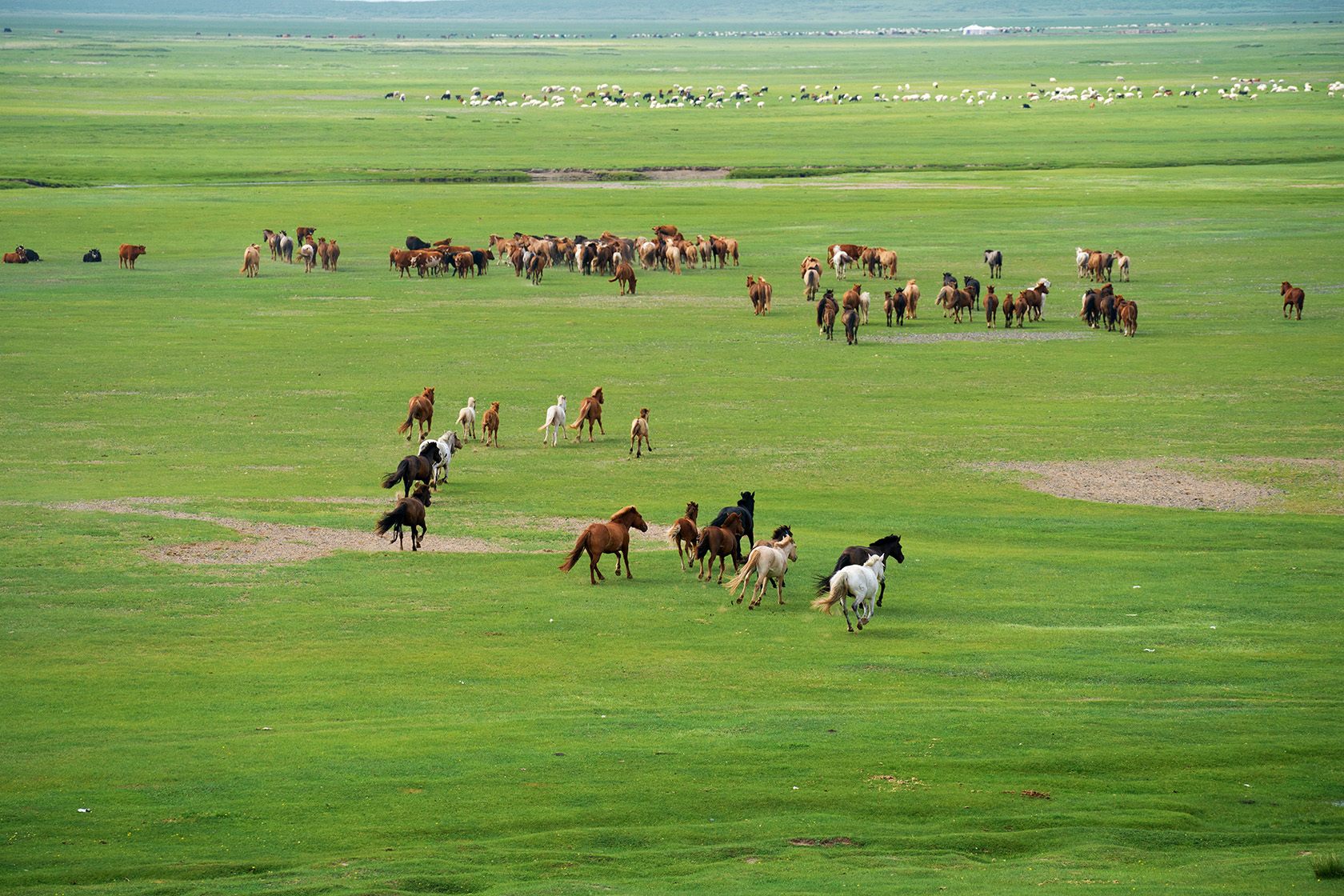 A Tour through Mongolia