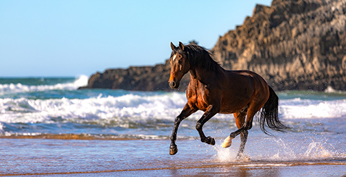 Portugal Spring Photography Tour
