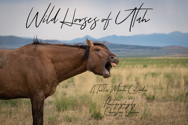 Wild Horses of Utah Calendar