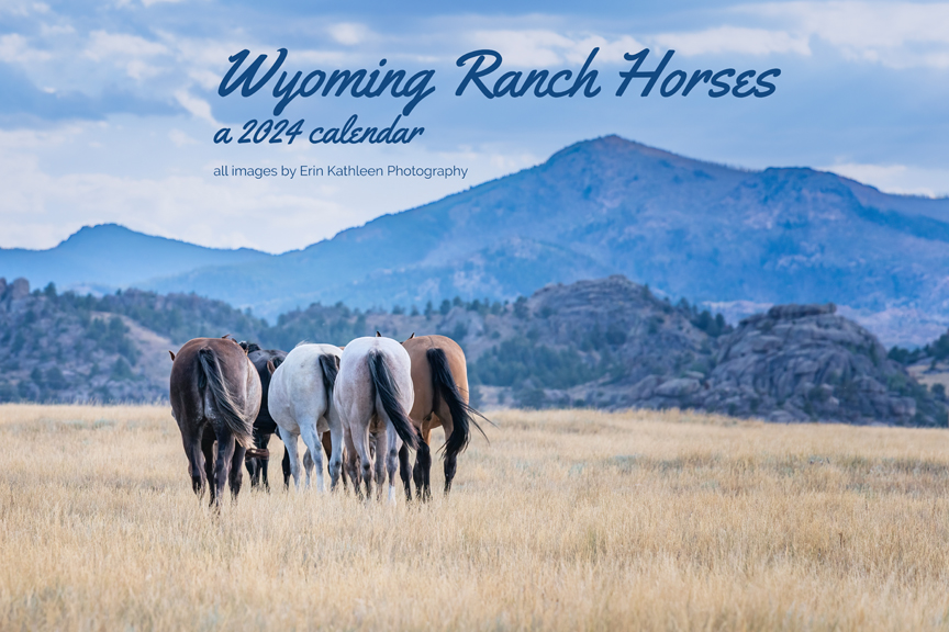 Wyoming Ranch Horses 2024