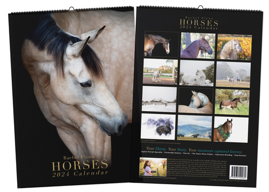 2024 Horses Calendar 