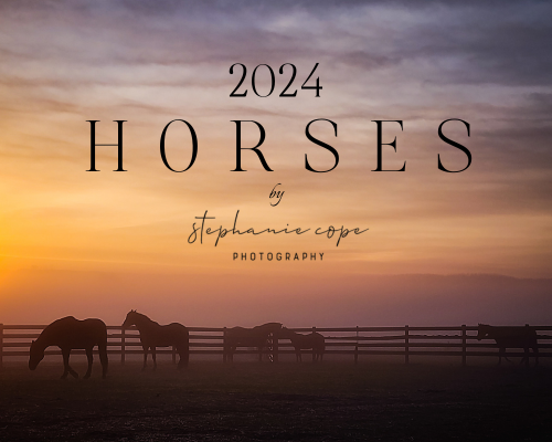 2024 HORSES Calendar