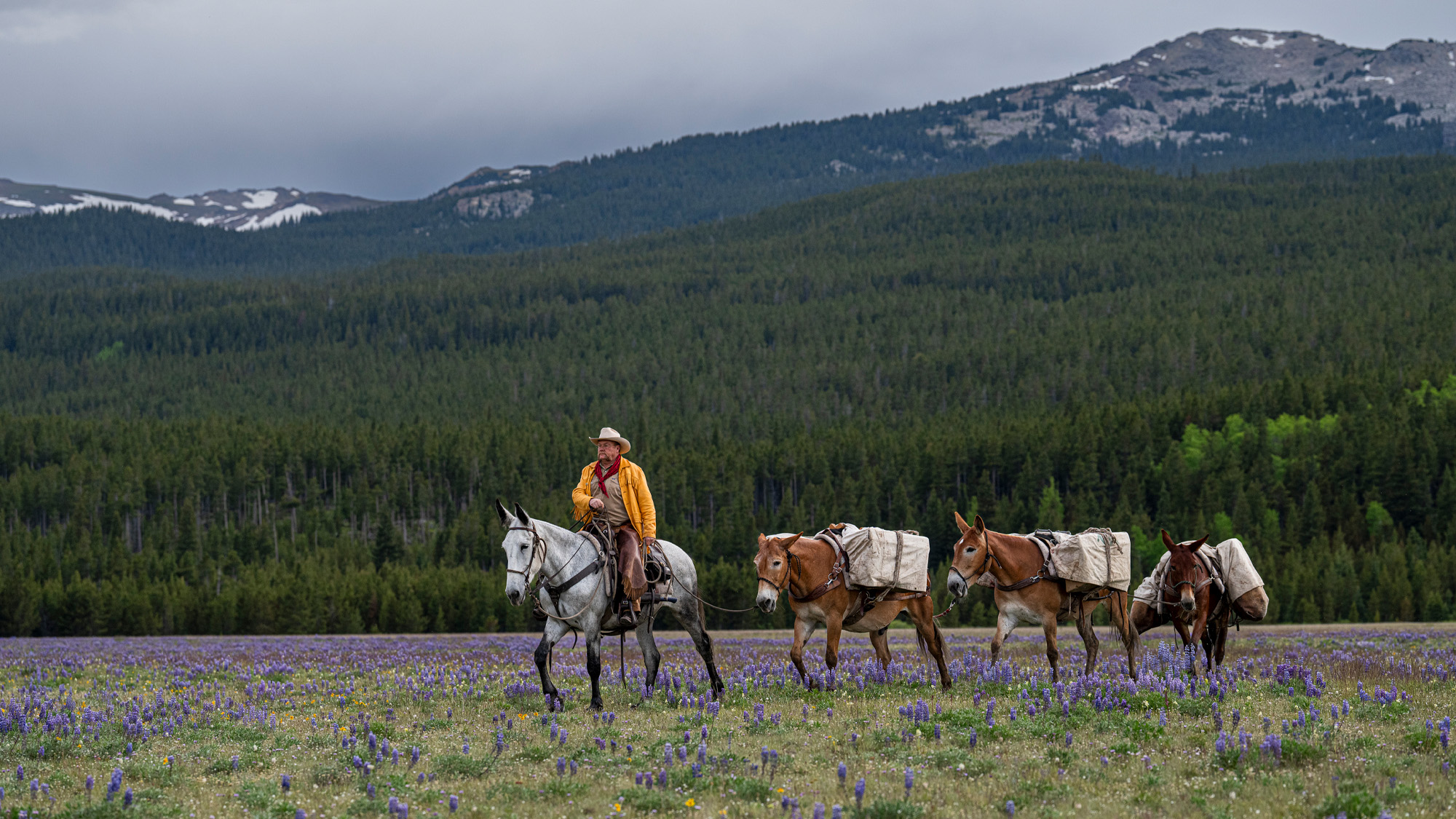 2024 Spear–O-Wigwam, WY Pack Trip