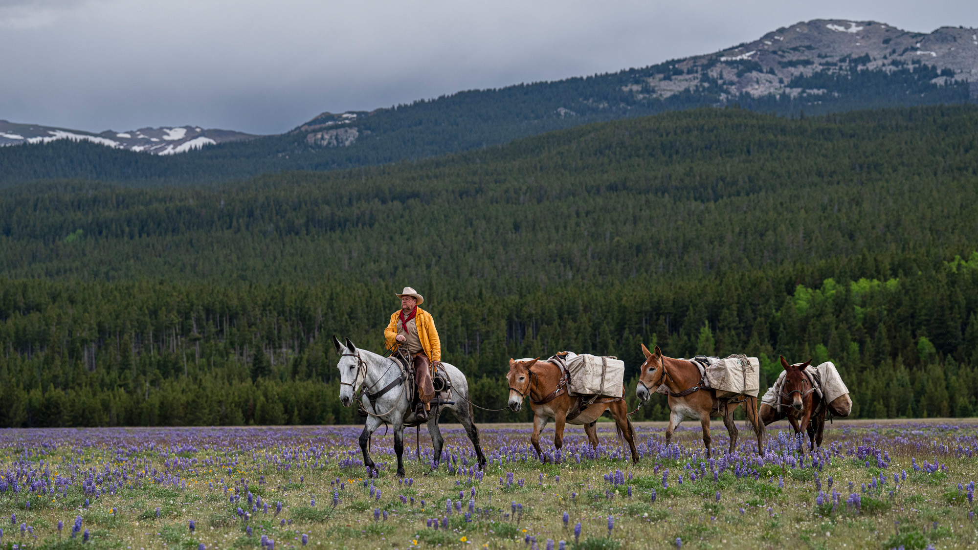 2024 Spear–O-Wigwam, Wyoming Pack Trip