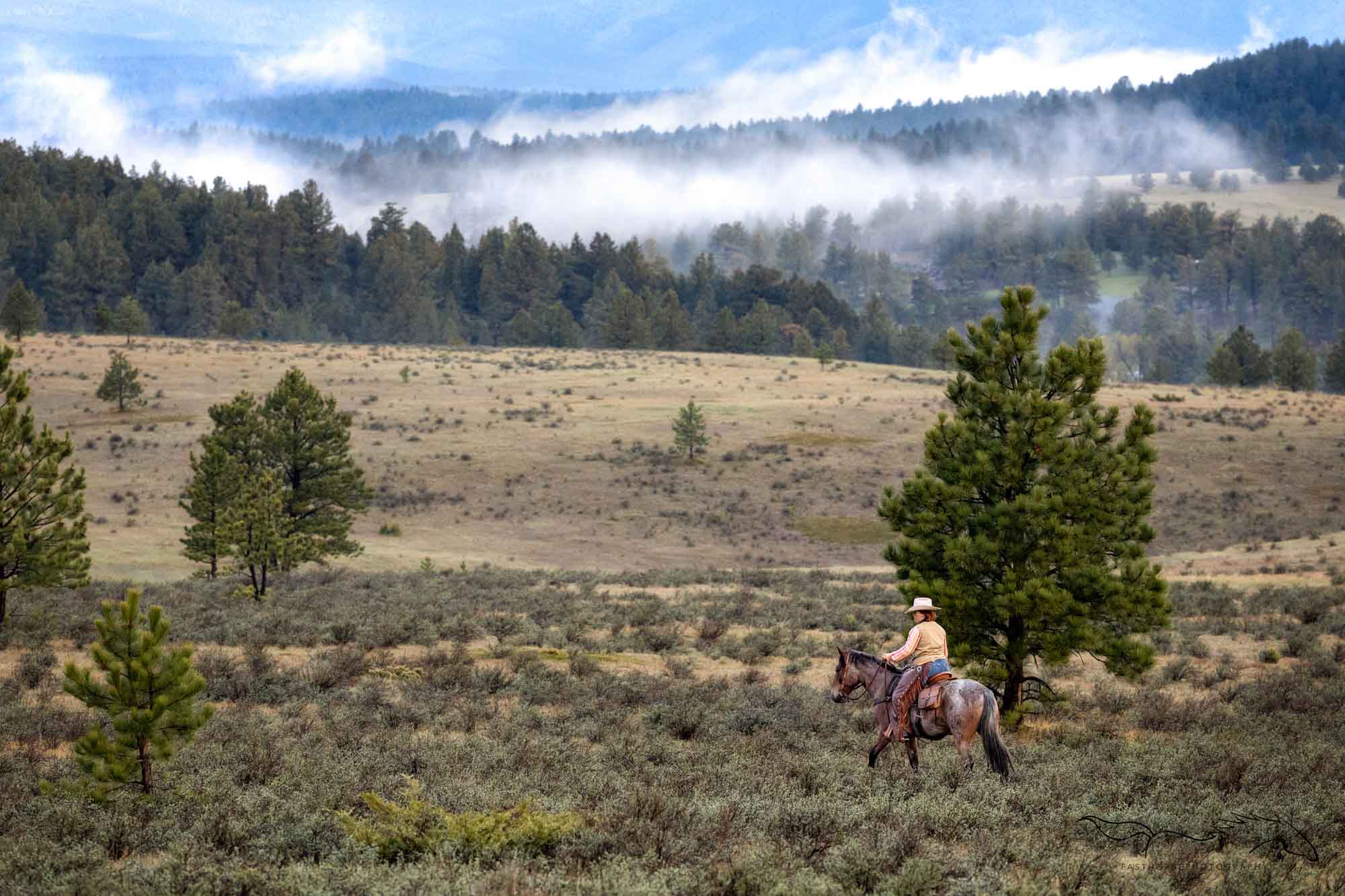 Montana Magic in May