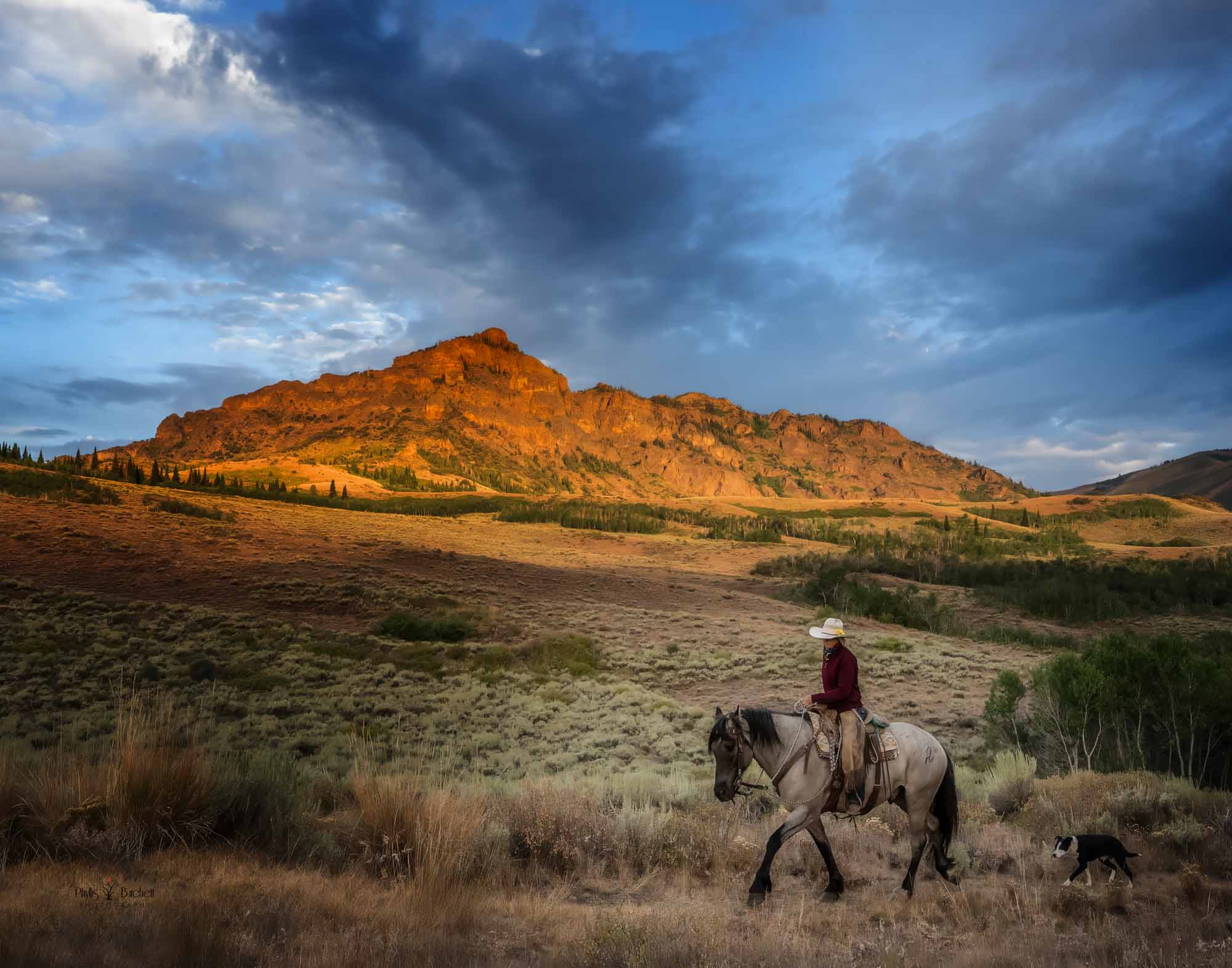 Immersive Nevada Learning Experience