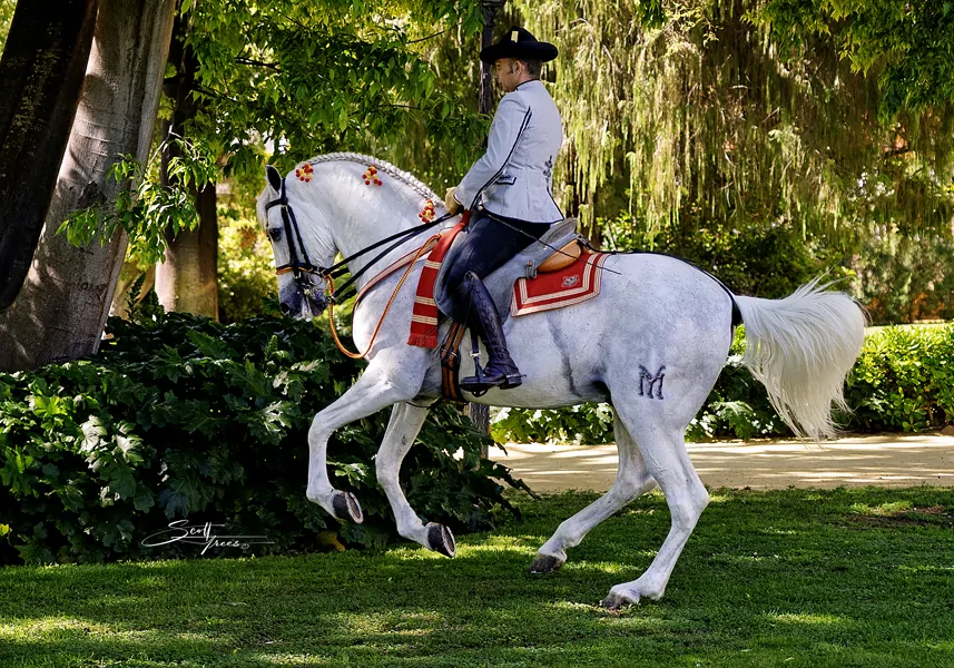 Spain Wkshop – 25 – 0395 copy