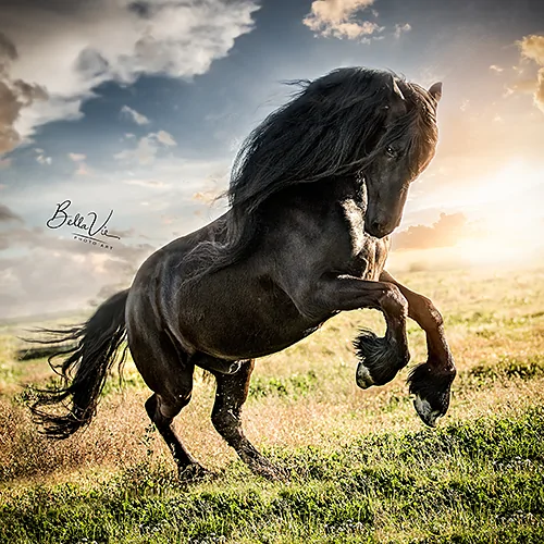  Photojourney's Europe (5 workshops)