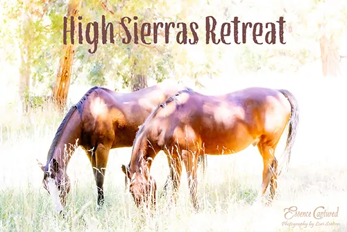 High Sierras Photography Retreat