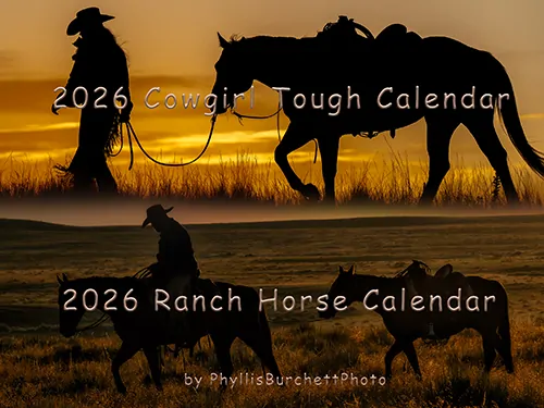  2026 Western Calendars