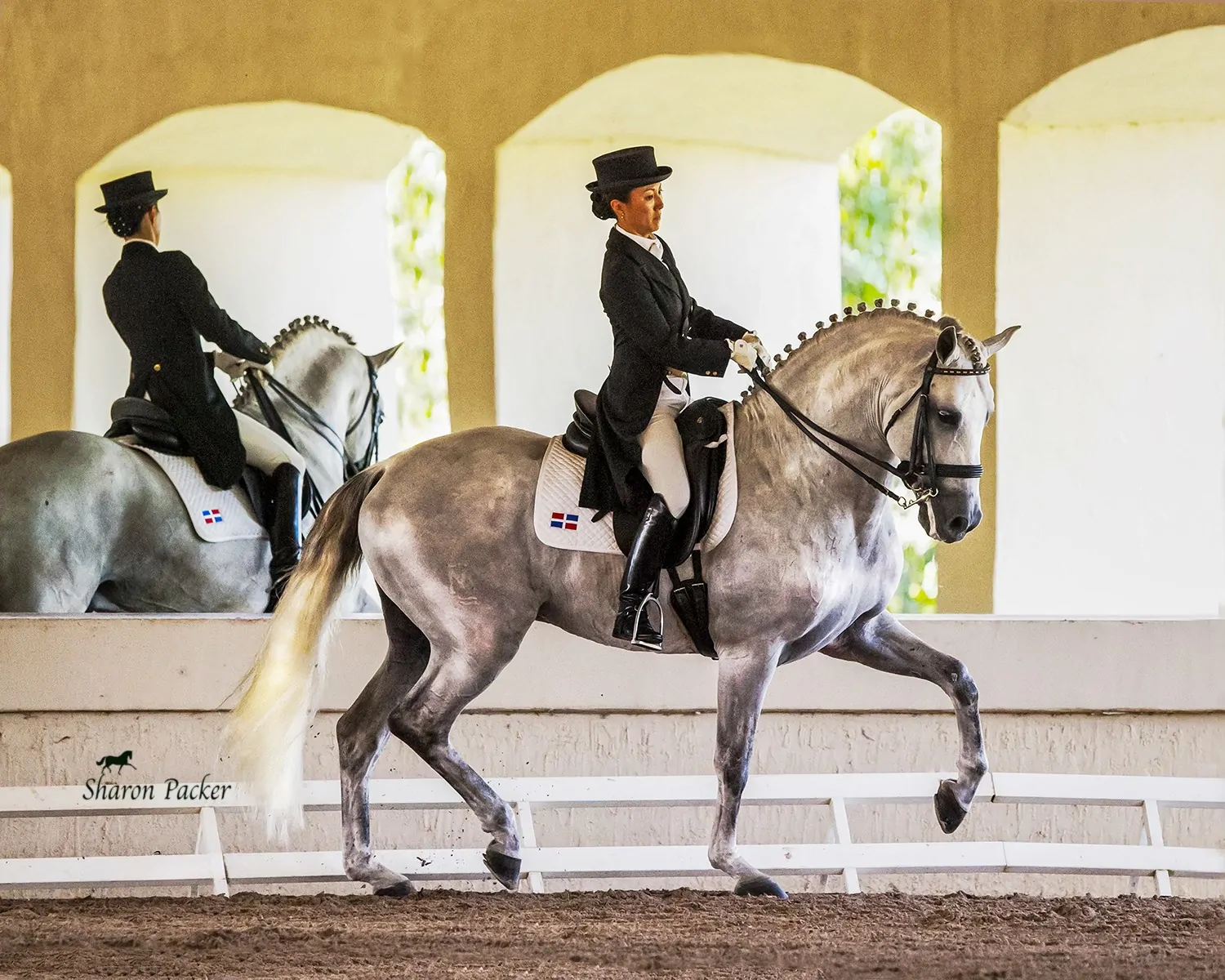 CAPTURING CORRECT ACTION PHOTOS IN SHOW PHOTOGRAPHY