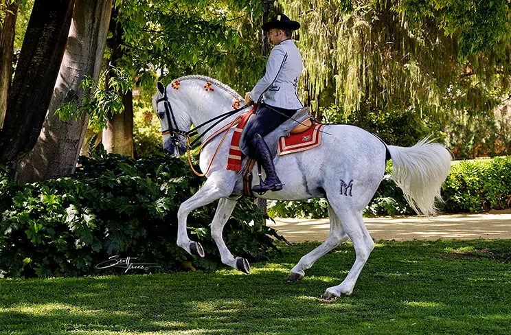 Destination Seville Spain An Andualsian Experience