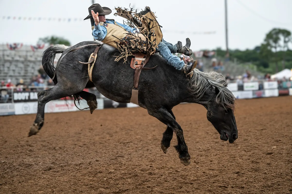 Rodeo & Western Lifestyle Workshop